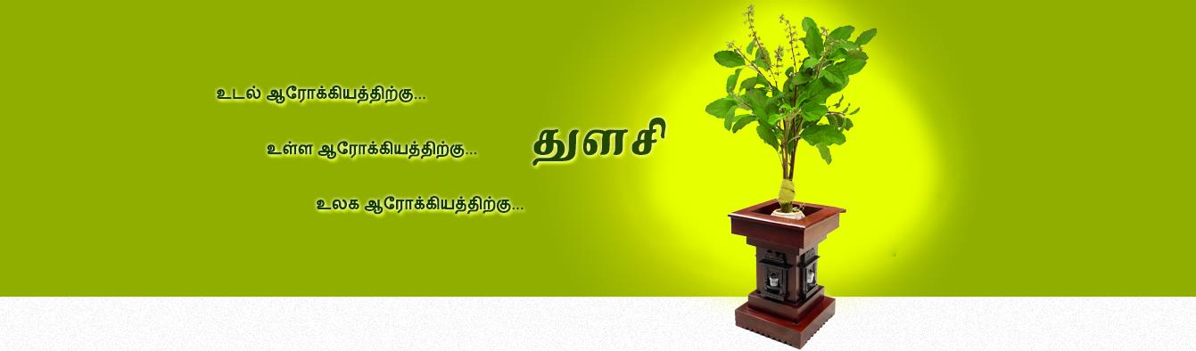 tulasi image 